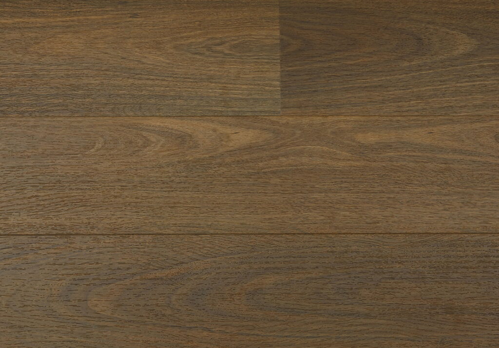 Northern Spotted Gum