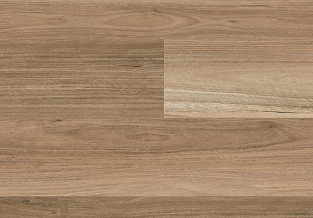 Highland Blackbutt